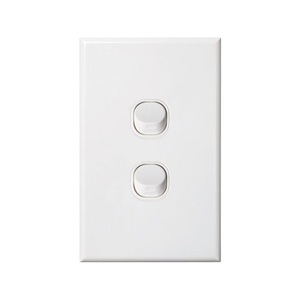 2 Gang White Wall Plate Light Switch