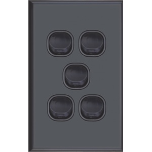 Five Gang Matte Black Wall Plate with Switch