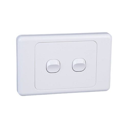 Dual Gang Wall Plate with Switch