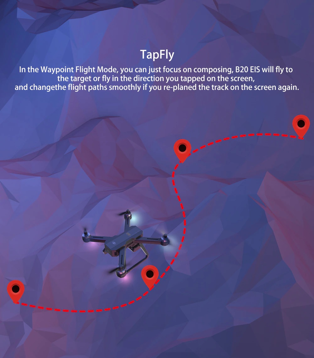 Bugs 20 tapnfly