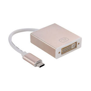 USB-C to DVI-D Adaptor
