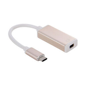 USB-C to Mini Display Port Adaptor