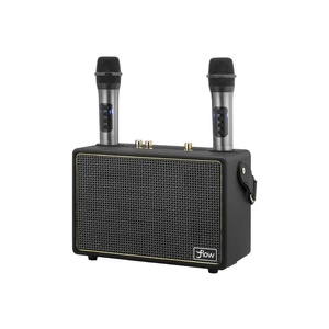 Wireless Karaoke Speaker with 2 Microphones