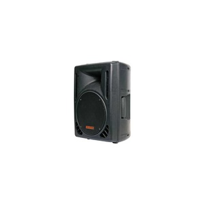 254mm 10 Inch 120W 2 Way Club Series PA Speaker