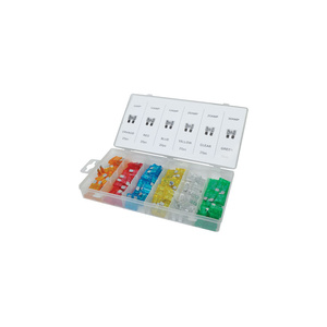 Car Blade Fuse in Carry Case - 120 Piece