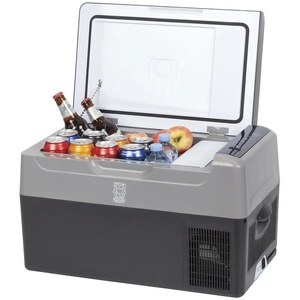 12V/24V 20L Portable Fridge/Freezer