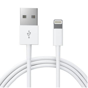 Apple Lightning USB Charge and Data Cable - 2.4 metres