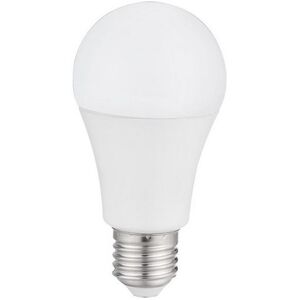10W Warm White LED Light Bulb - E27 Eddison Screw Type