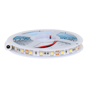 Cool White 12 Volt 5050 SMD LED Strip Light 10mm x 5m 