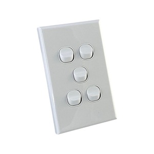 Five Gang White Wall Plate with Switch