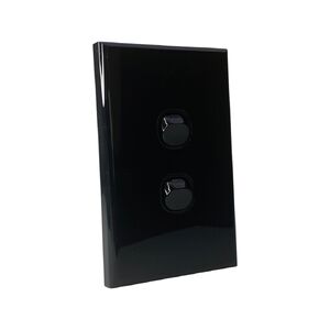 Two Gang Black Wall Plate with Switch