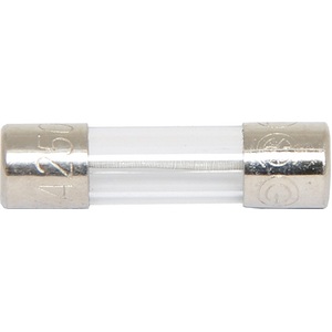 1A 5x20/M205 250V Slow-Blow Fuse