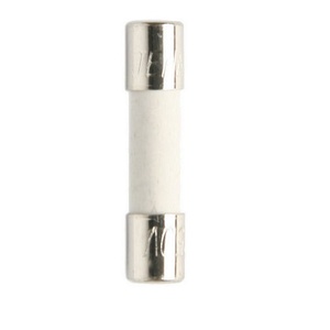 10A 5x20mm 2AG Slow Blow Ceramic Fuse - 10 Pack