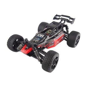 RC 4WD Off Road Dune Buggy 1:16th 2.4GHz Digital Proportional