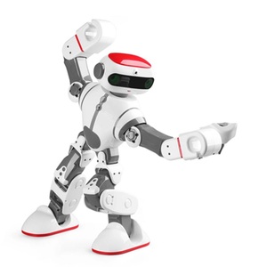 Dobi Humanoid Intelligent Programmable RC Robot