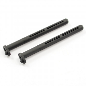 10818 Body post 2pcs FTX-8417 for River Hobby and FTX