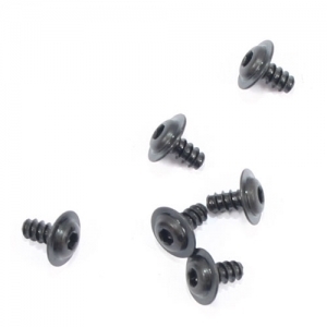 10256 RSTS M3x6 Screws