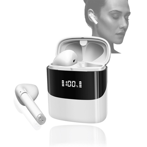 Bluetooth 5.0 Rechargeable True Wireless Stereo Earbuds w/ Display