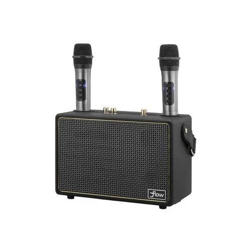 Wireless Karaoke Speaker with 2 Microphones