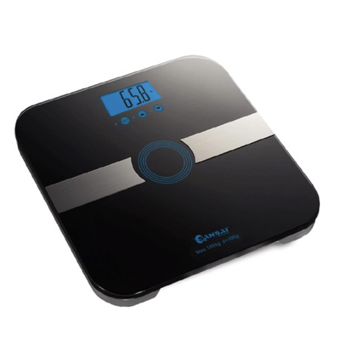Body Fat Scale