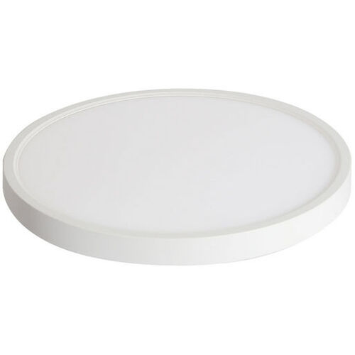 24W RGBW LED 300mm Dimmable Smart Wifi Ceiling Light
