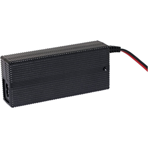 Lithium Iron Phosphate LiFePO4 Battery Charger