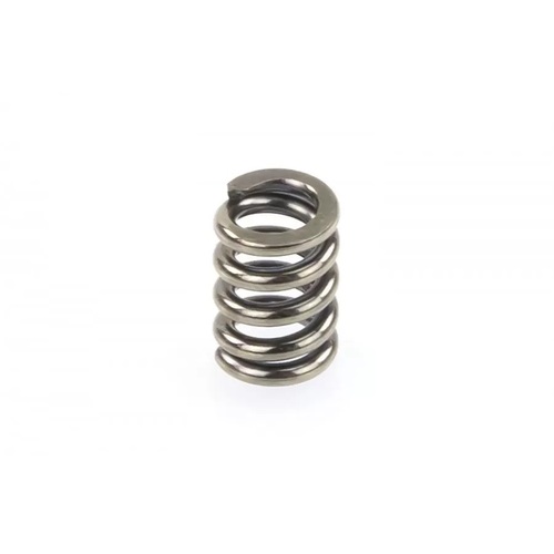 60233  HSP Slipper Clutch Spring