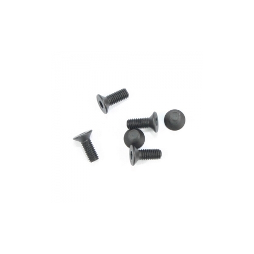 10247 FHHS M3x8 for River Hobby and FTX