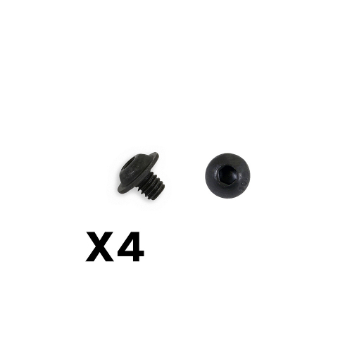 10700 Self Tap Screw 2.5x3 4pc Oct for River Hobby and FTX