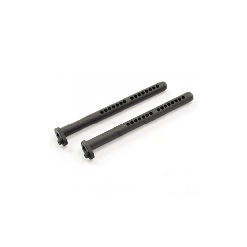 10818 Body post 2pcs FTX-8417 for River Hobby and FTX