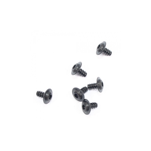 10256 RSTS M3x6 Screws